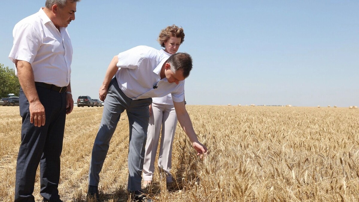     Автор: donland.ru