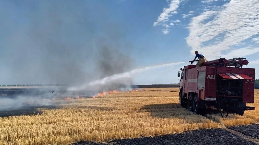     Автор: donland.ru