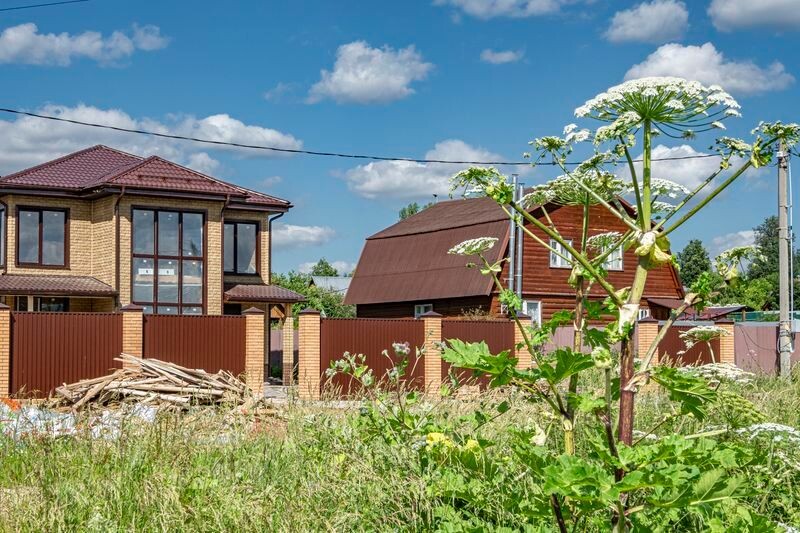     / Источник: © ИЗВЕСТИЯ/Константин Кокошкин