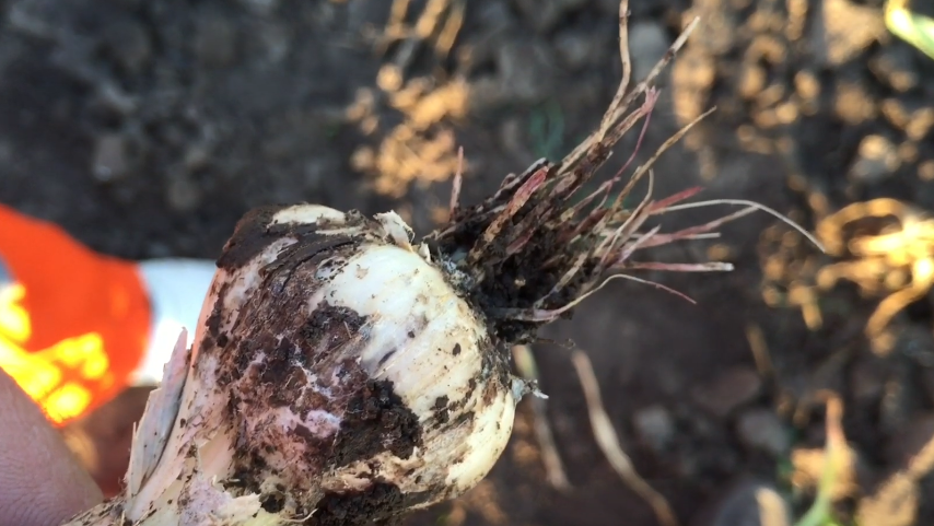 Результат моих прежних ошибок