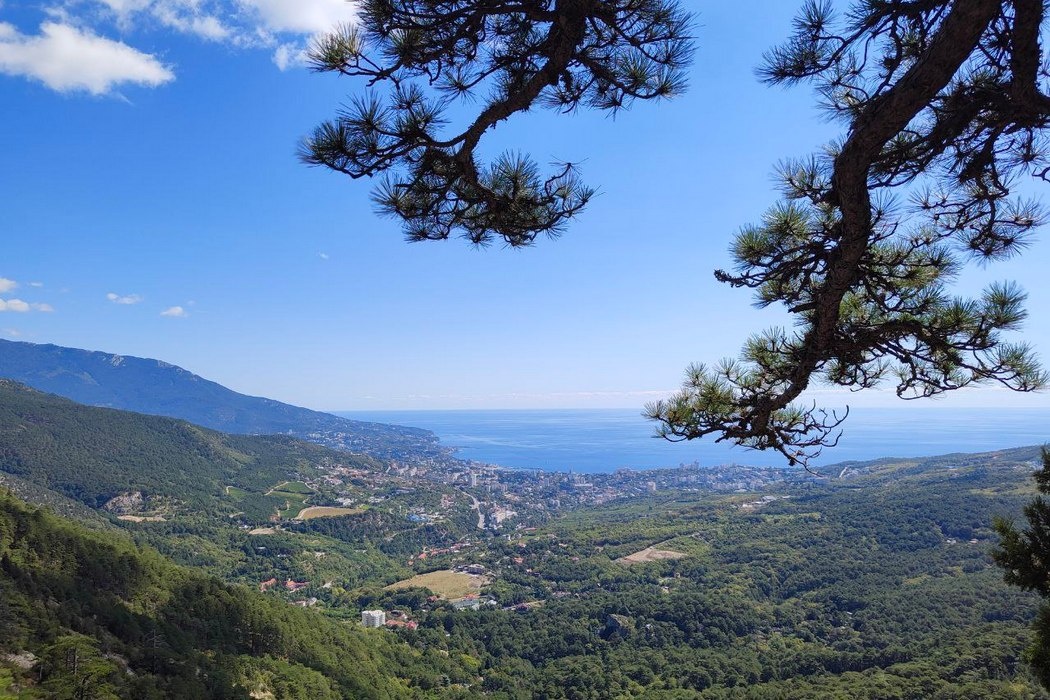    Фото: Анны Чудиновой для © ИА «Уральский меридиан»