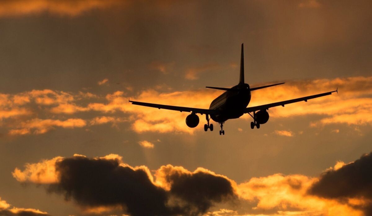     Самолет. Источник: © РИА Новости Автор фото: Максим Блинов