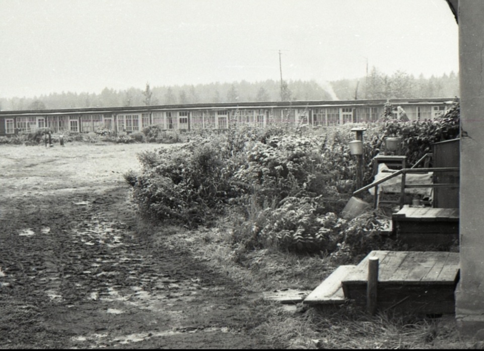 Фото из личного архива.