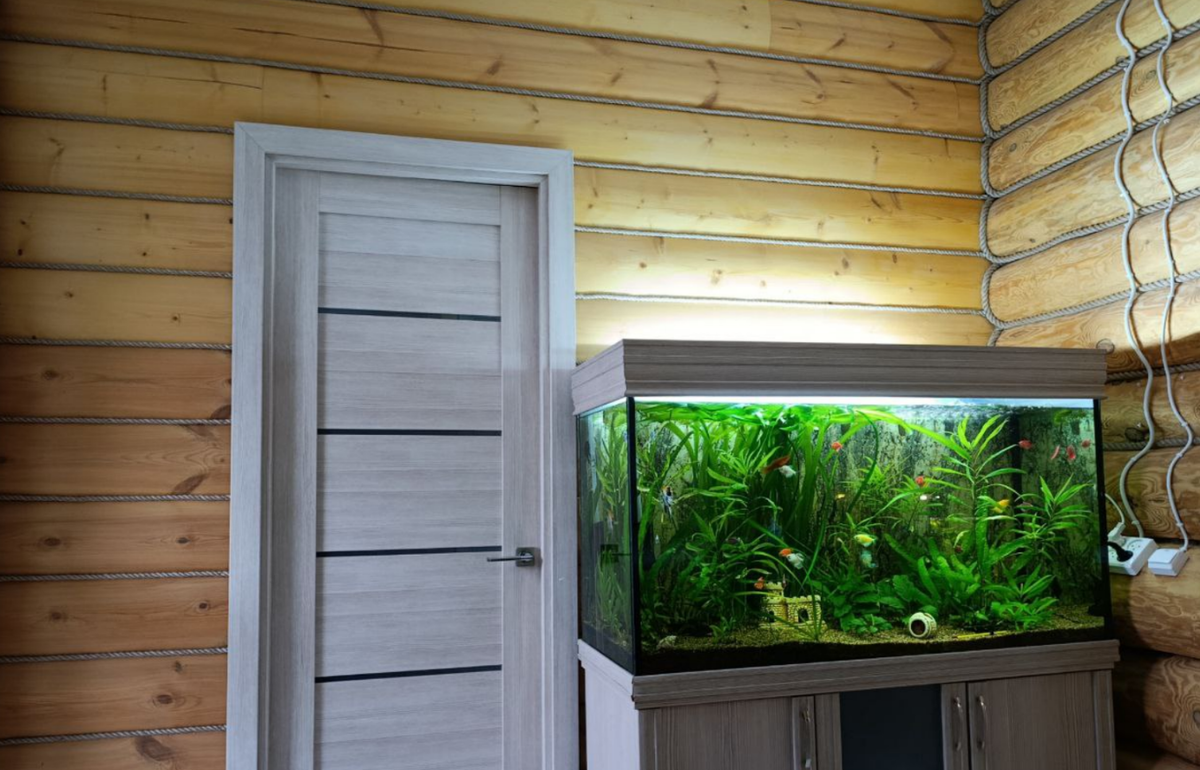 Вот. Сегодня обито канатами. 