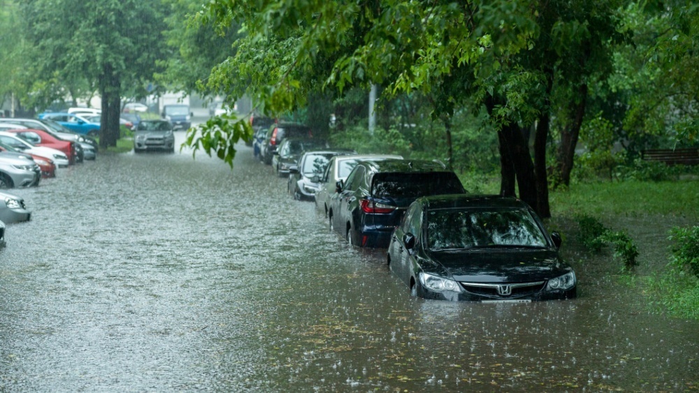     Фото: mkfilm/Shutterstock/FOTODOM