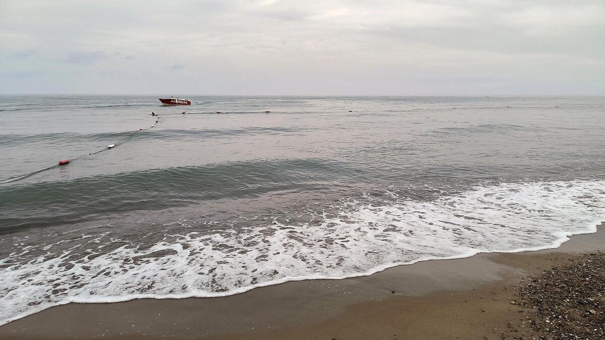    Фото: Maksim Konstantinov/globallookpress.com