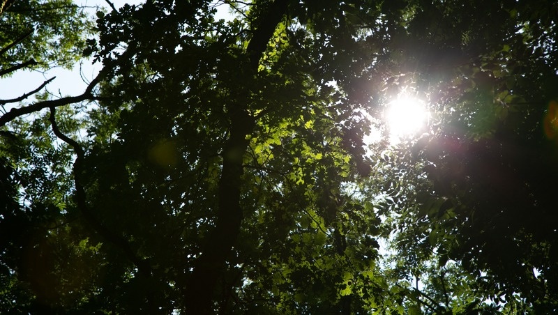    Общая протяжённость экотроп и турмаршрутов, по планам, должна составить 18 км Фото: Валерия Алтухова / / ИА «Победа26»