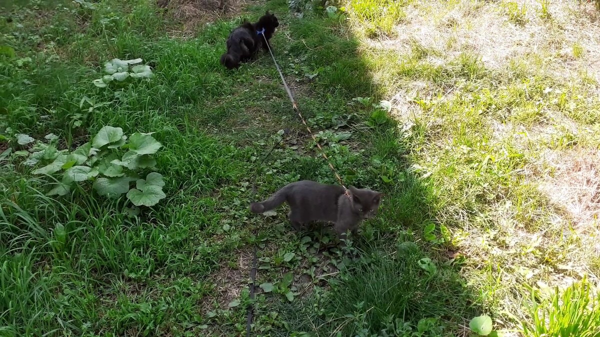 на прогулке.