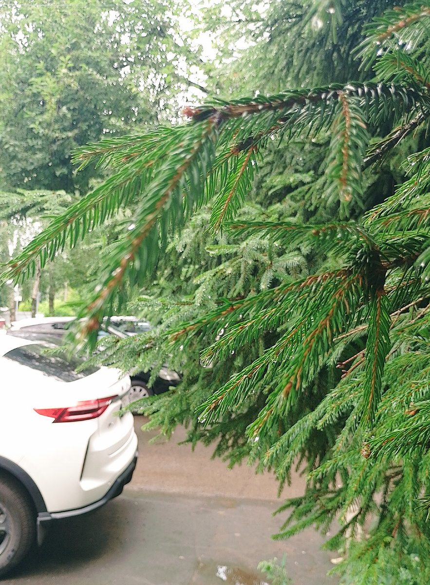 Фото автора.