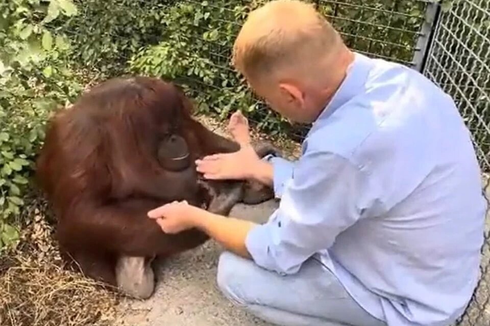 Фото: скриншот из видео из Telegram-канала Олег Зубков Человек лев