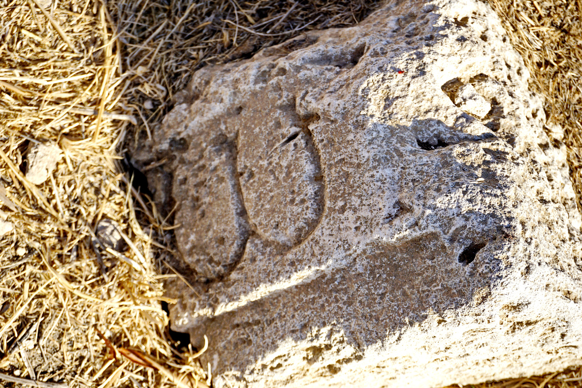 Иордания, руины Раббы