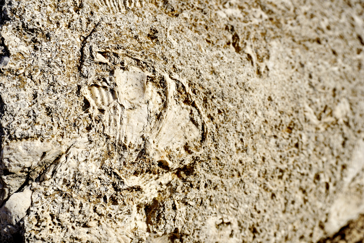 Когда-то тут, в горах Карака, плескалось море...