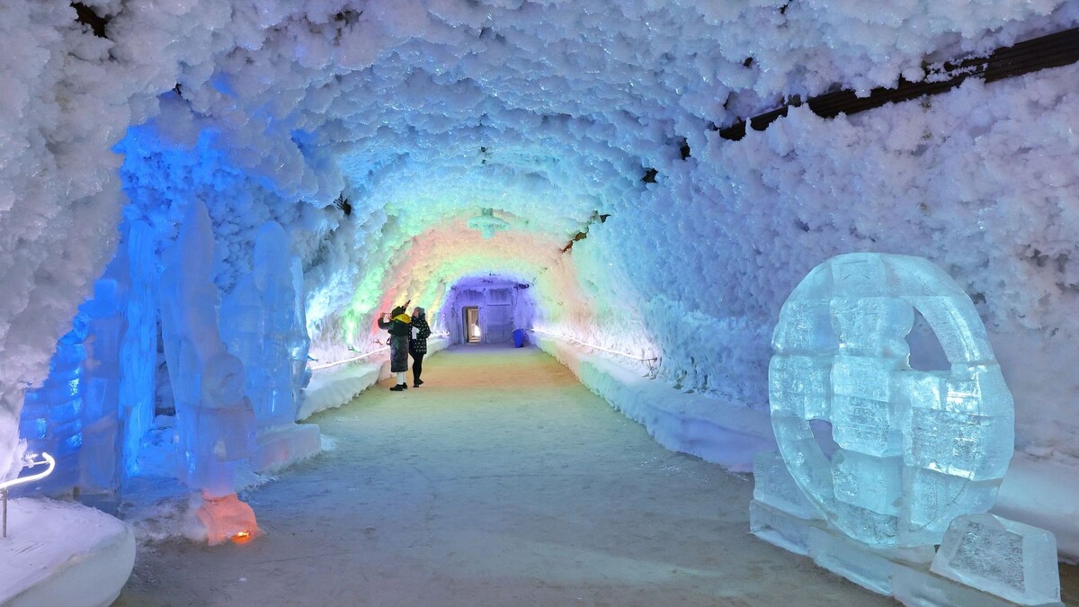    Фото: Андрей Ткачев / «Ямал-Медиа»