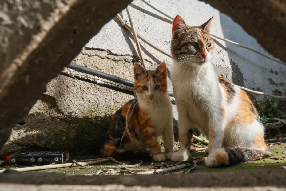    Алексей Белкин/NEWS.ru