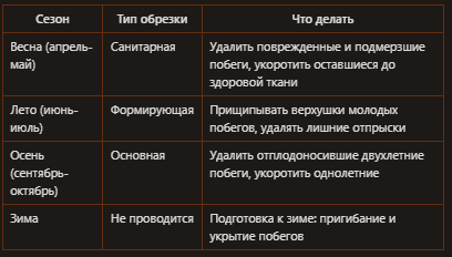 Когда обрезать ежевику