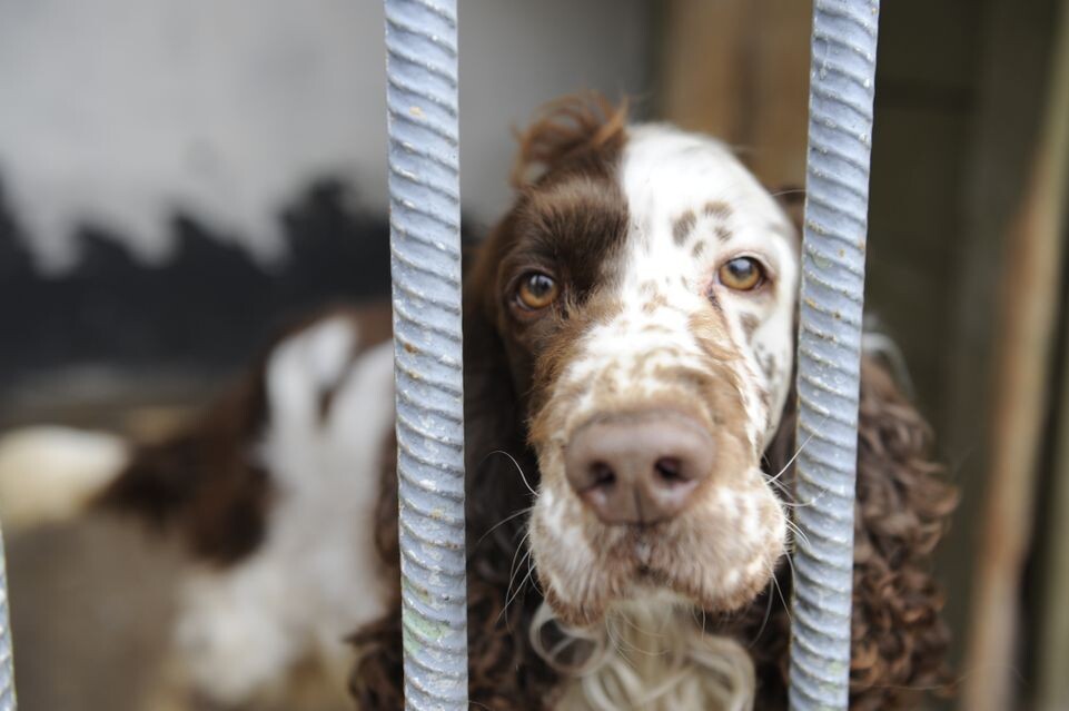    Медиасток.рф