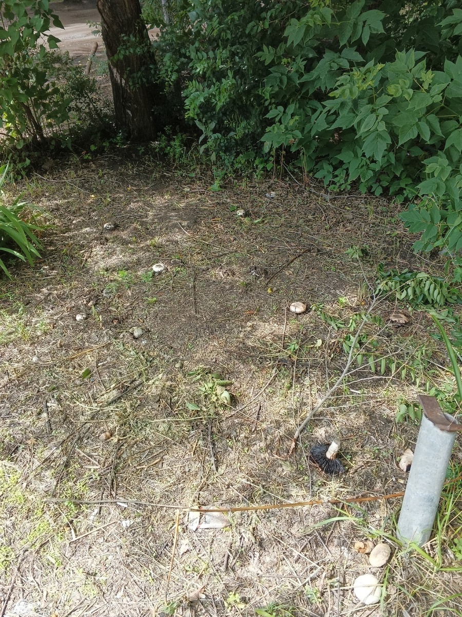 Между домами