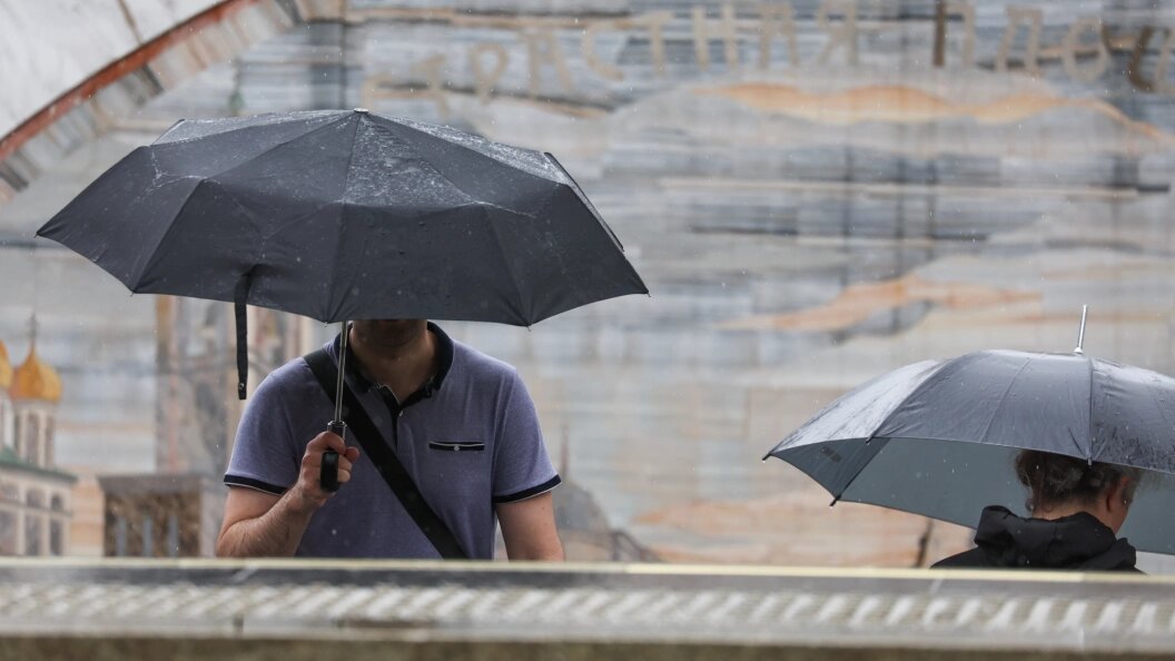    Фото: Belkin Alexey/Globallookpress