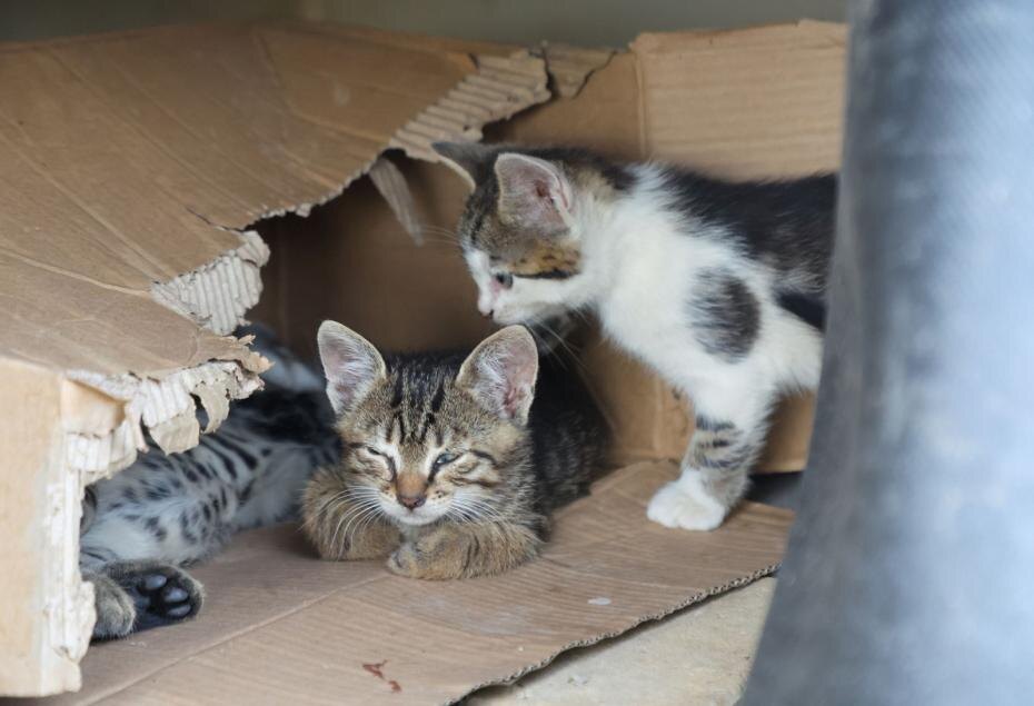    Алексей Белкин/NEWS.ru