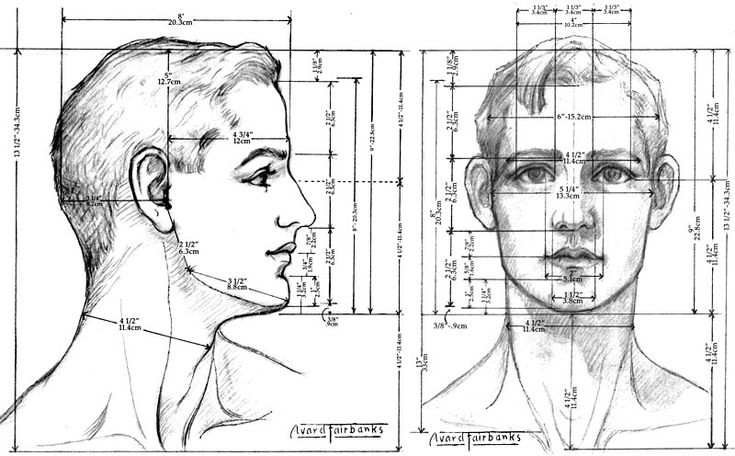 https://www.pinterest.com/pin/pin-en-head-drawing-and-construction--113575221845908021/