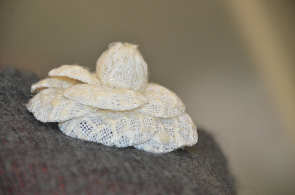 Снежная Камелия