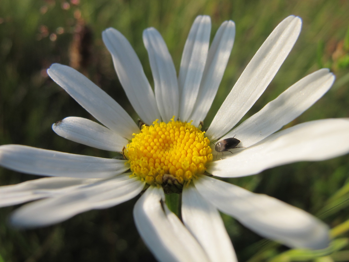 Кому-то для красоты, а кому-то жизненная необходимость...