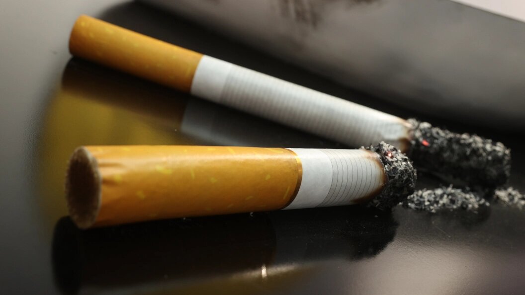    Фото: Bulkin Sergey/Globallookpress