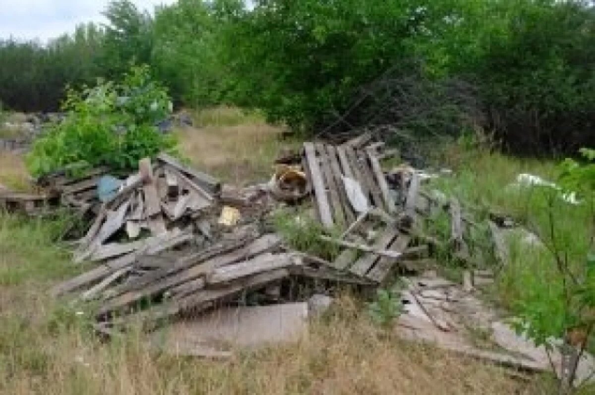    Под Волгоградом на участке земли нашли помойку вместо сельхозрастений