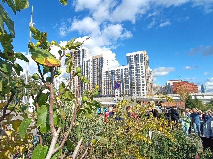     Атмофест-2024. Фото: Николай Курилов / МК-Урал.