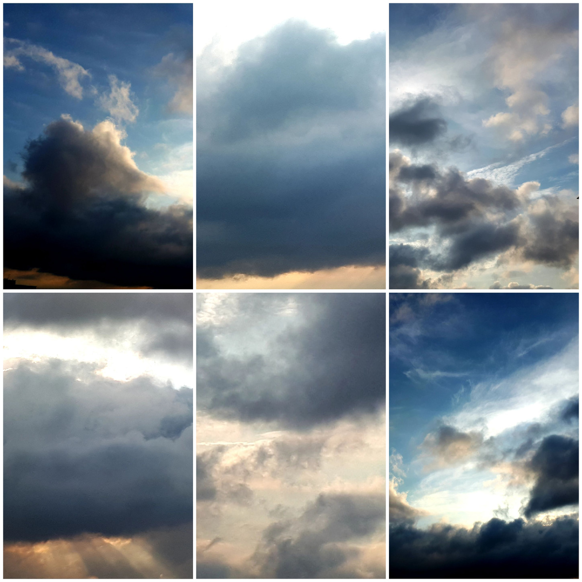 Коллаж автора 21.07.2025г.