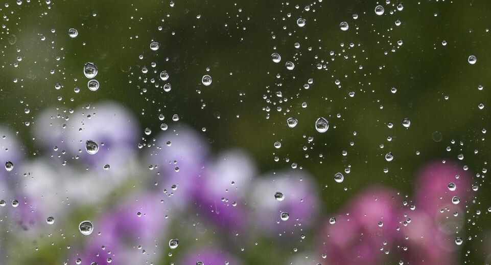    Jens Kalaene/dpa / www.globallookpress.com