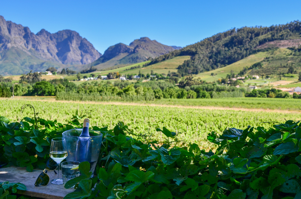 Расскажем об удивительном виноделии Новой Зеландии