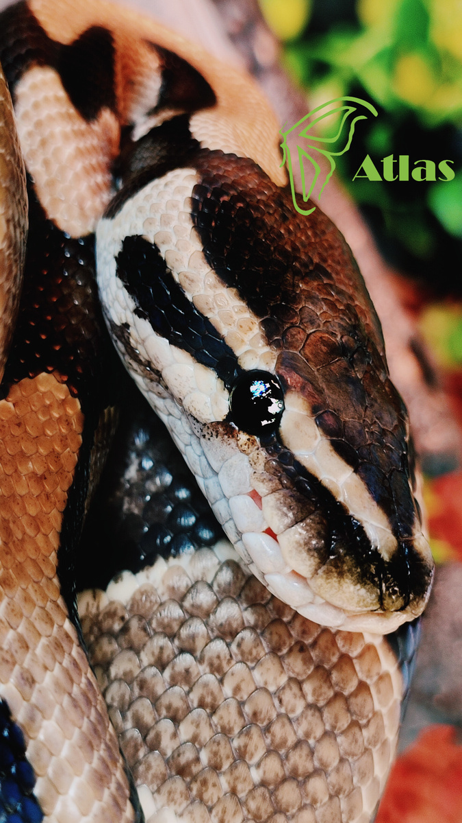 Это наш Малыш) 