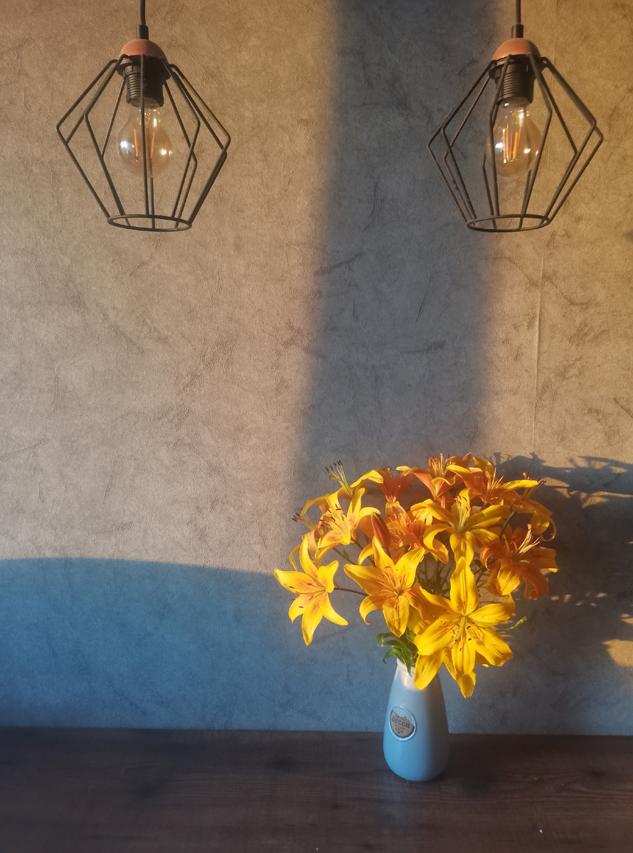 Просто красивые лилии и закатное солнце