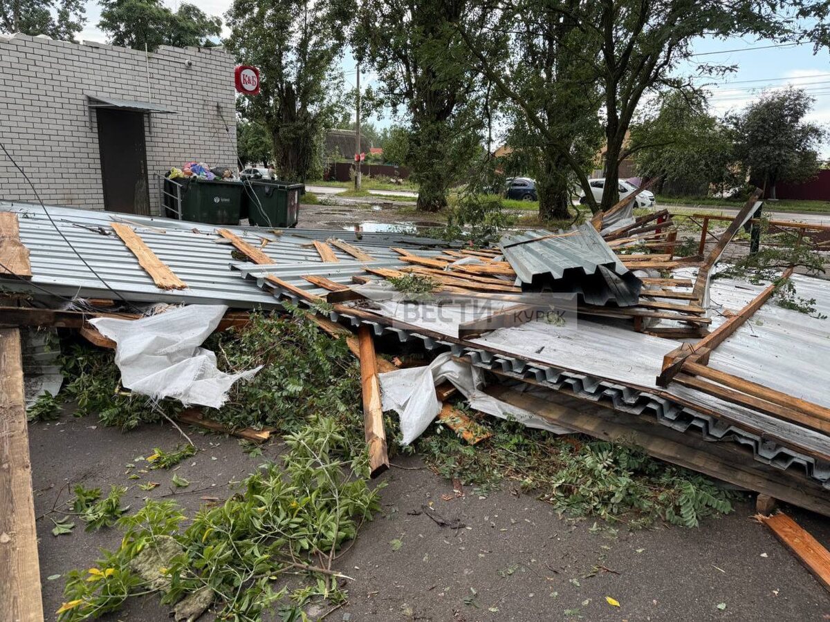    Безымянный циклон громовой поступью прошёл по Курску