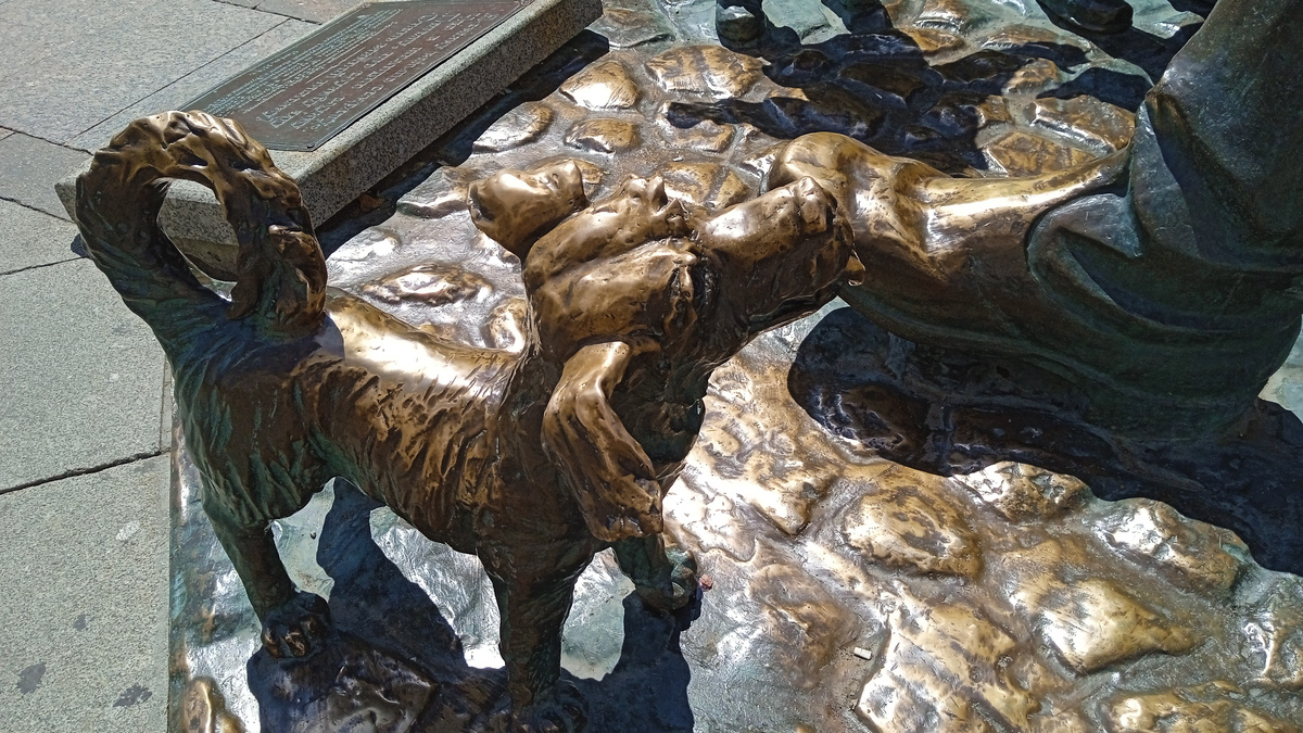 Пинаемая псина дяди Стёпы