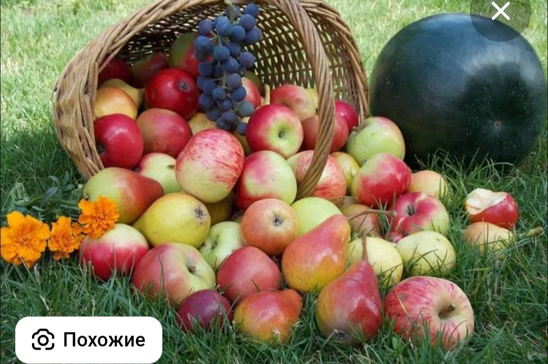 Фото с Яндекс. 