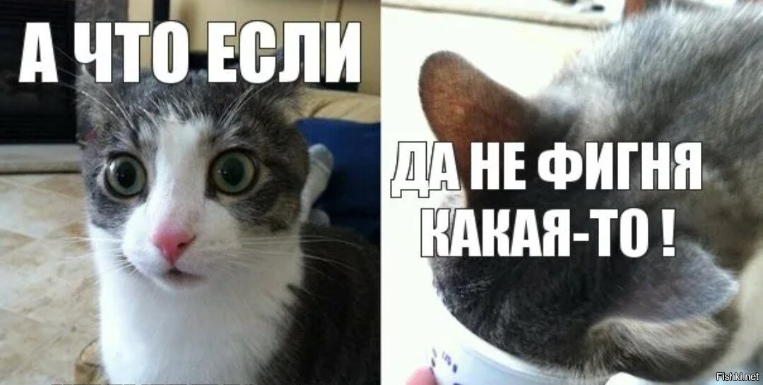 fishki.net