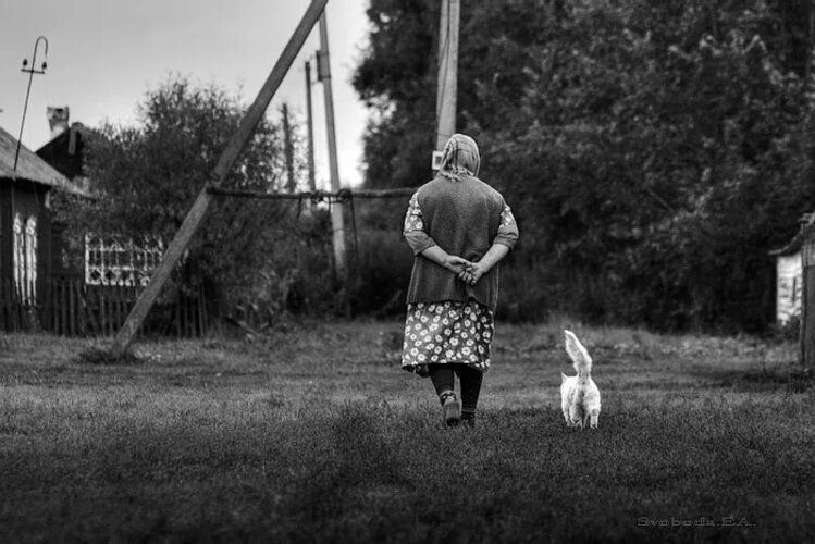 Картинка взята с открытого источника: https://i7.tabor.ru/feed/2022-12-06/32727349/4014920_760x500.jpg Картинка взята с интернета: https://i7.tabor.ru/feed/2022-12-06/32727349/4014920_760x500.jpg