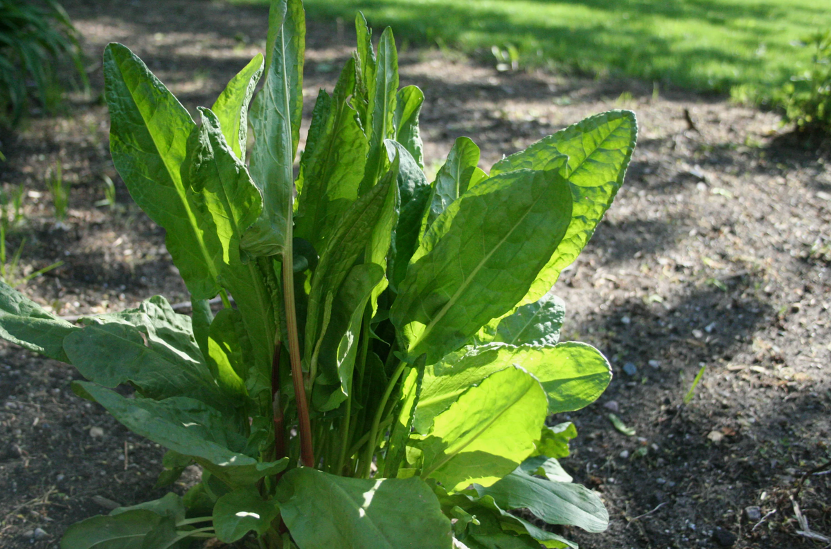 Источник фото: wishescards.ru