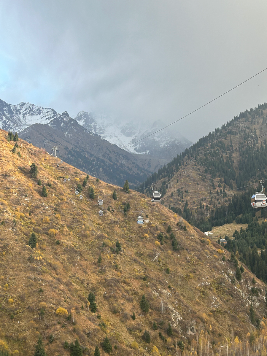 Склоны Тянь-Шаня