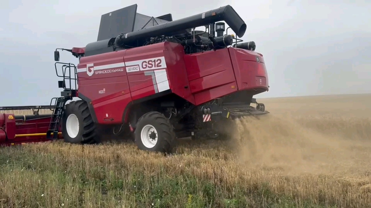 Новый комбайн Брянск Сельмаш в работе 