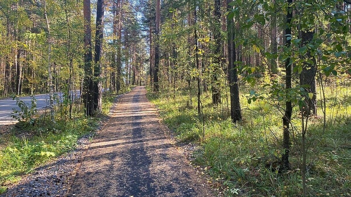     Автор: Анна Григорьева Источник: 1MI