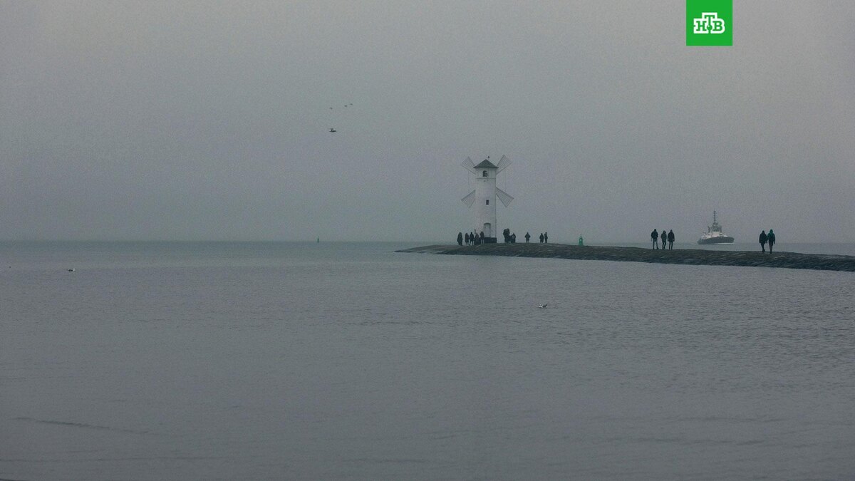    Фото: kolodziejczakm / unsplash.com