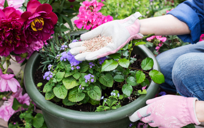 Источник фото: shutterstock.com