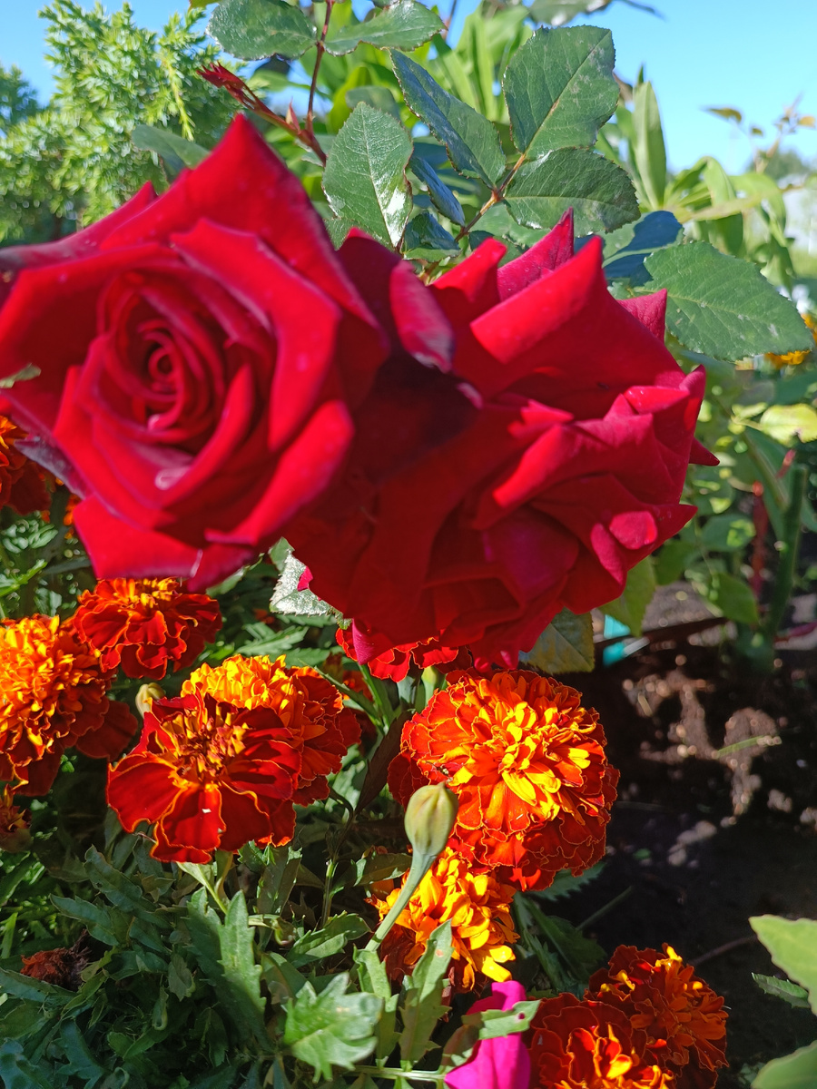 Фото из архива автора