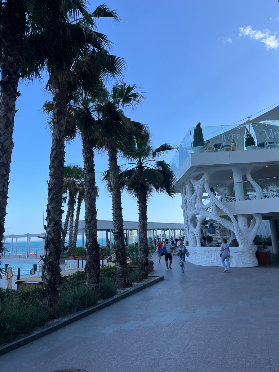 Огромные пальмы на набережной в Ялте 
