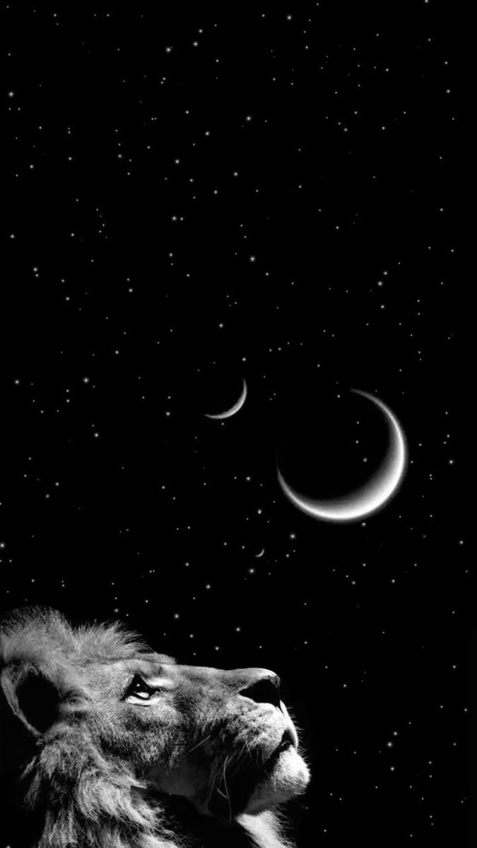 Взято из Pinterest 