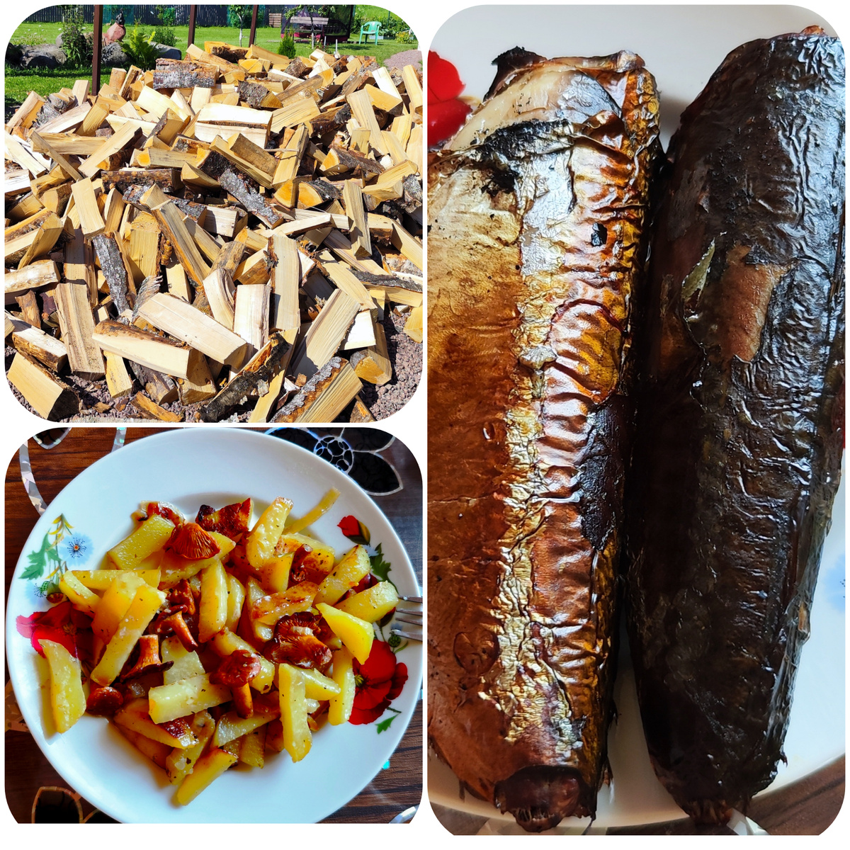 Коллаж автора.