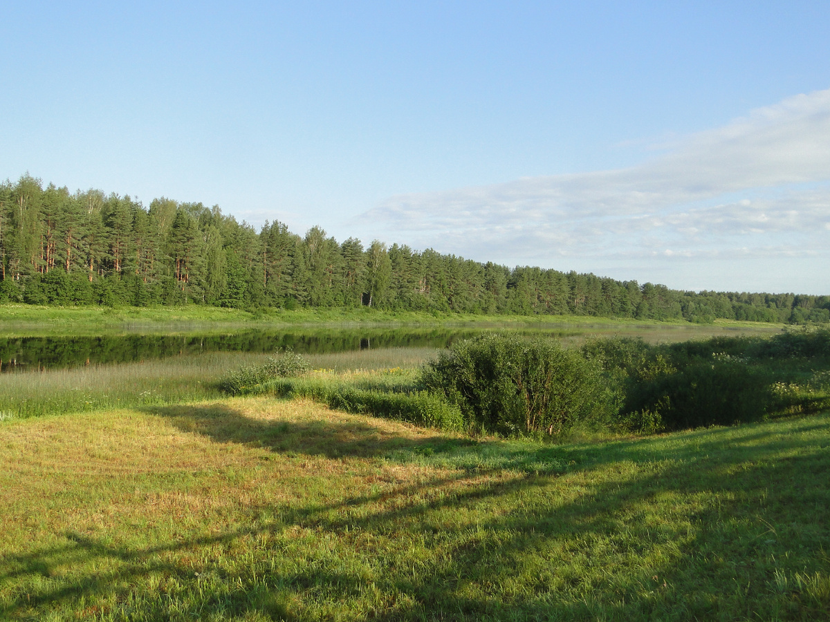 Река Молога, Устюженский район